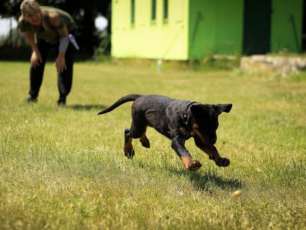 training